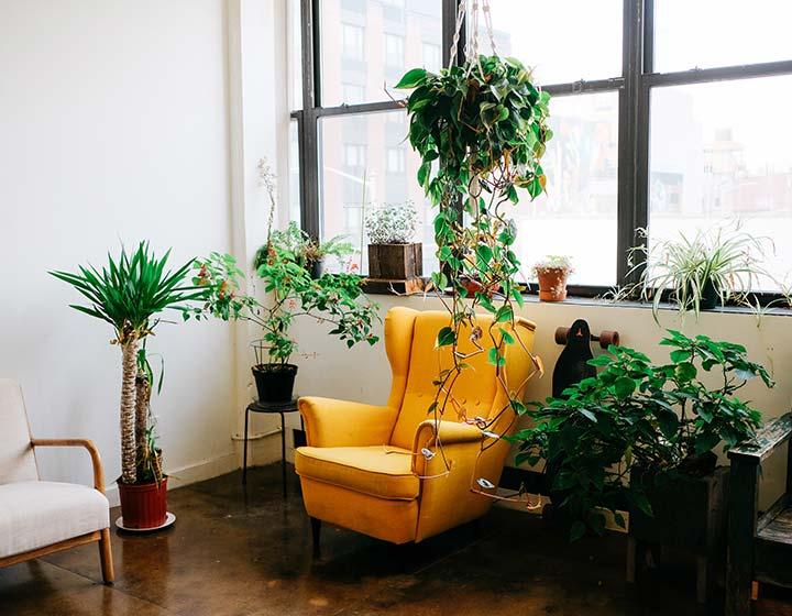 Dekorasyonda Berjer Etkisi