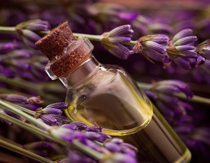 Lavanta Yağının Faydaları