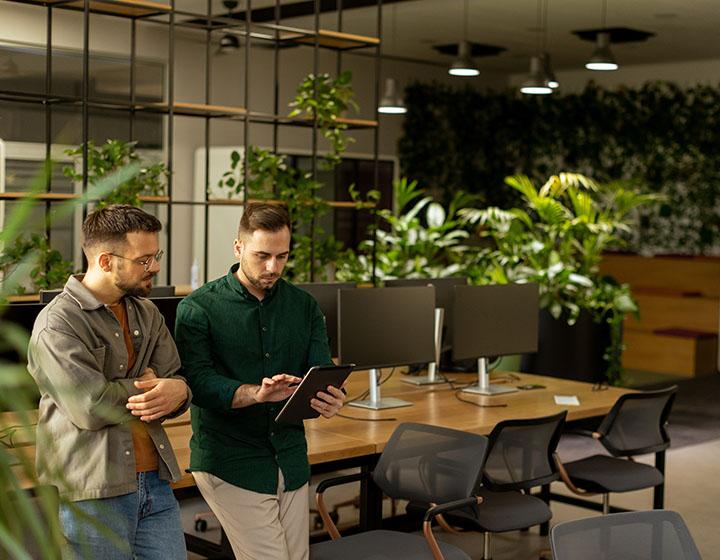 Ortamı Ferahlatacak Ofis Bitkileri